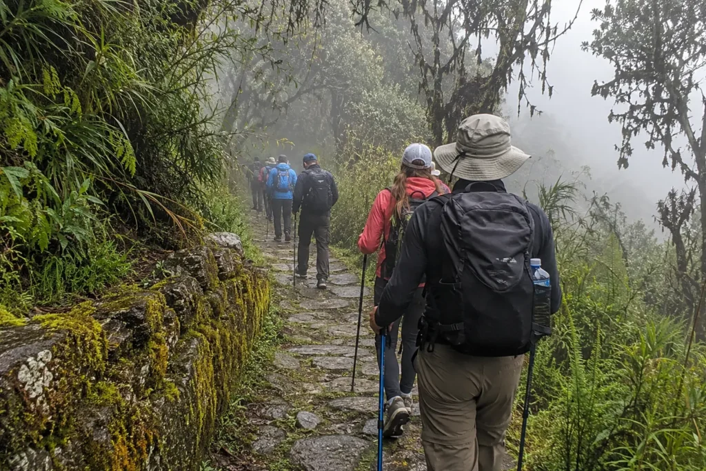 Short Inca Trail hikers walking through cloud forest on the ancient path
